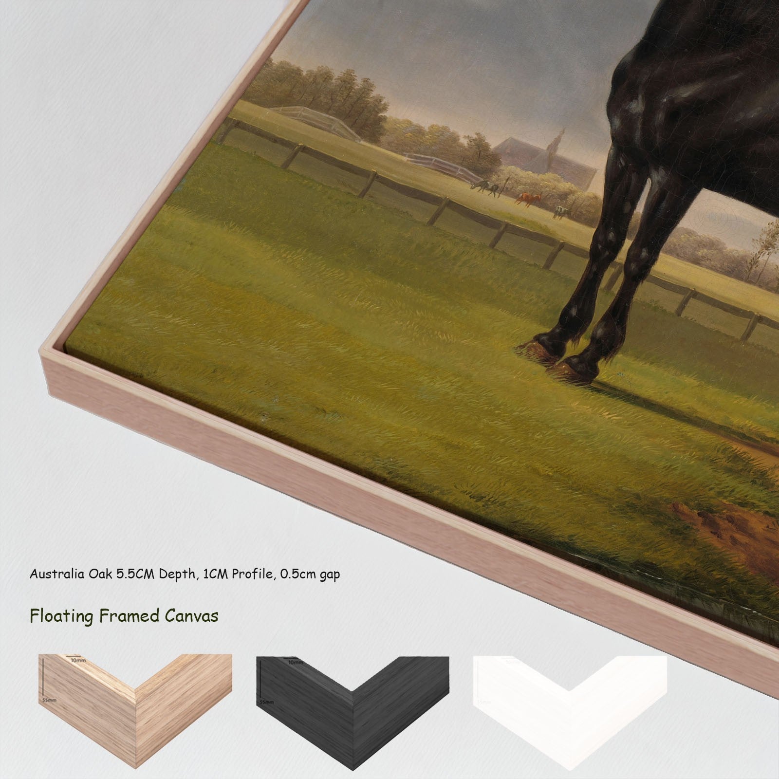 Adriaan van der Hoop's Trotter "De Vlugge" canvas wall art with floating frame options