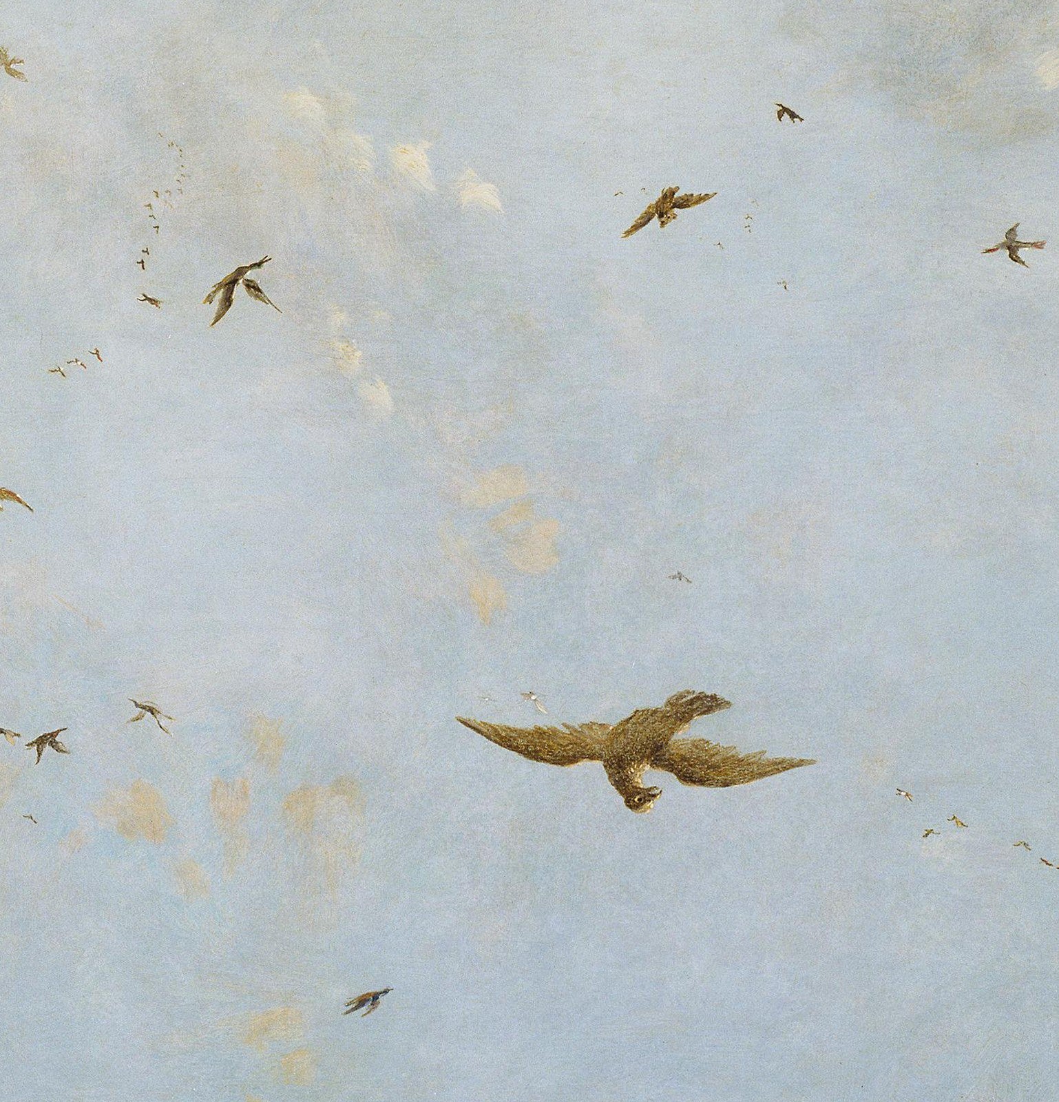 Ceiling of a Cloudy Sky with Birds canvas — close-up detail of the framed canvas print