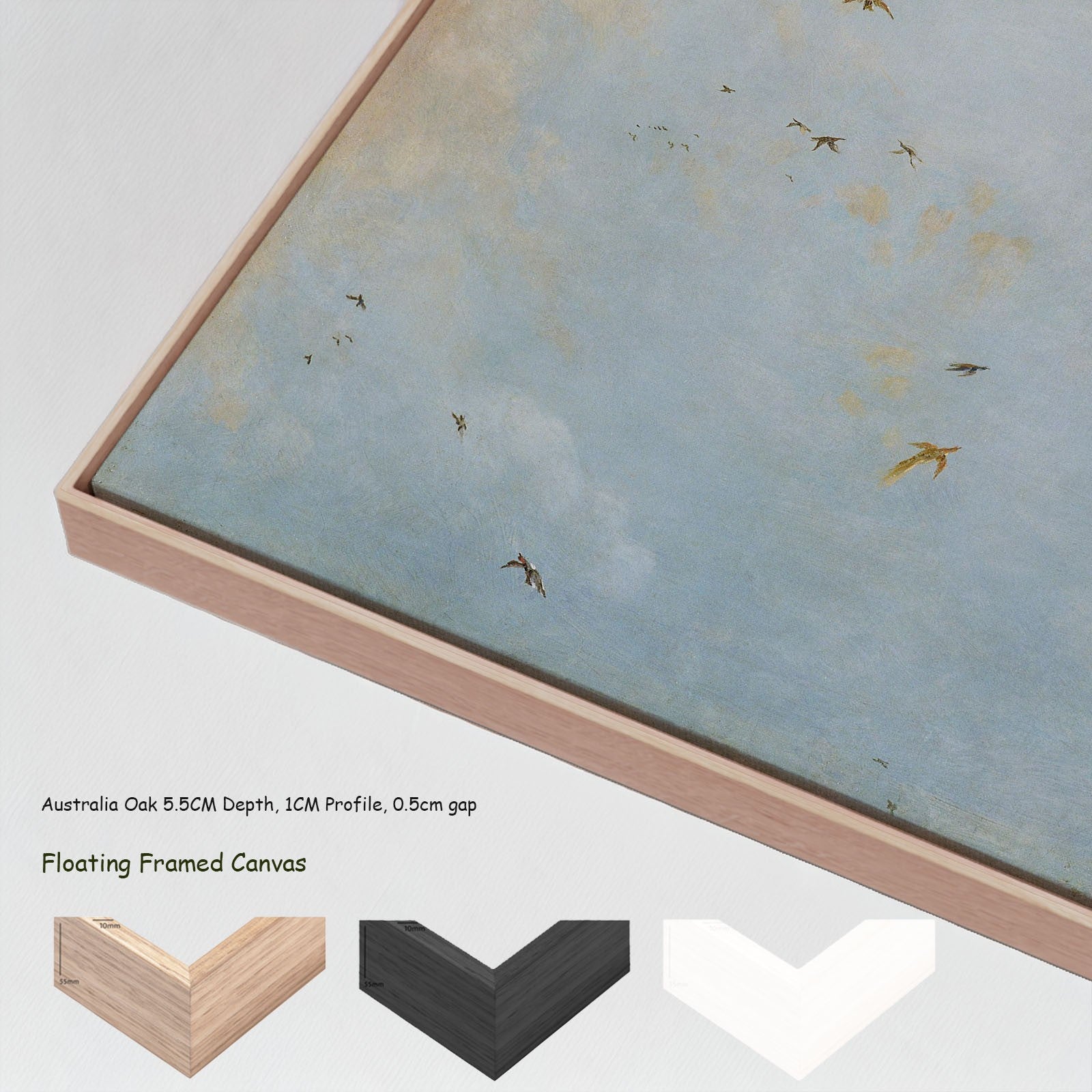 Ceiling of a Cloudy Sky with Birds canvas wall art with floating frame options