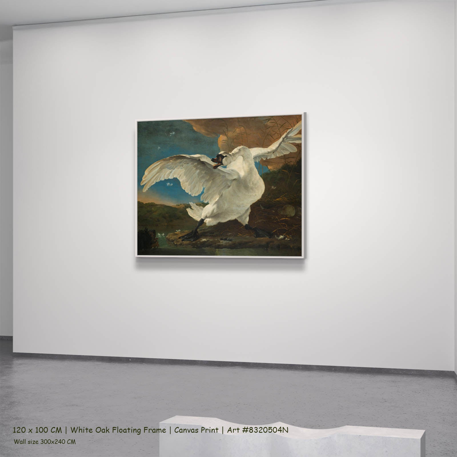 The Threatened Swan Wildlife canvas wall art in a white oak floating frame, 120 × 100 cm