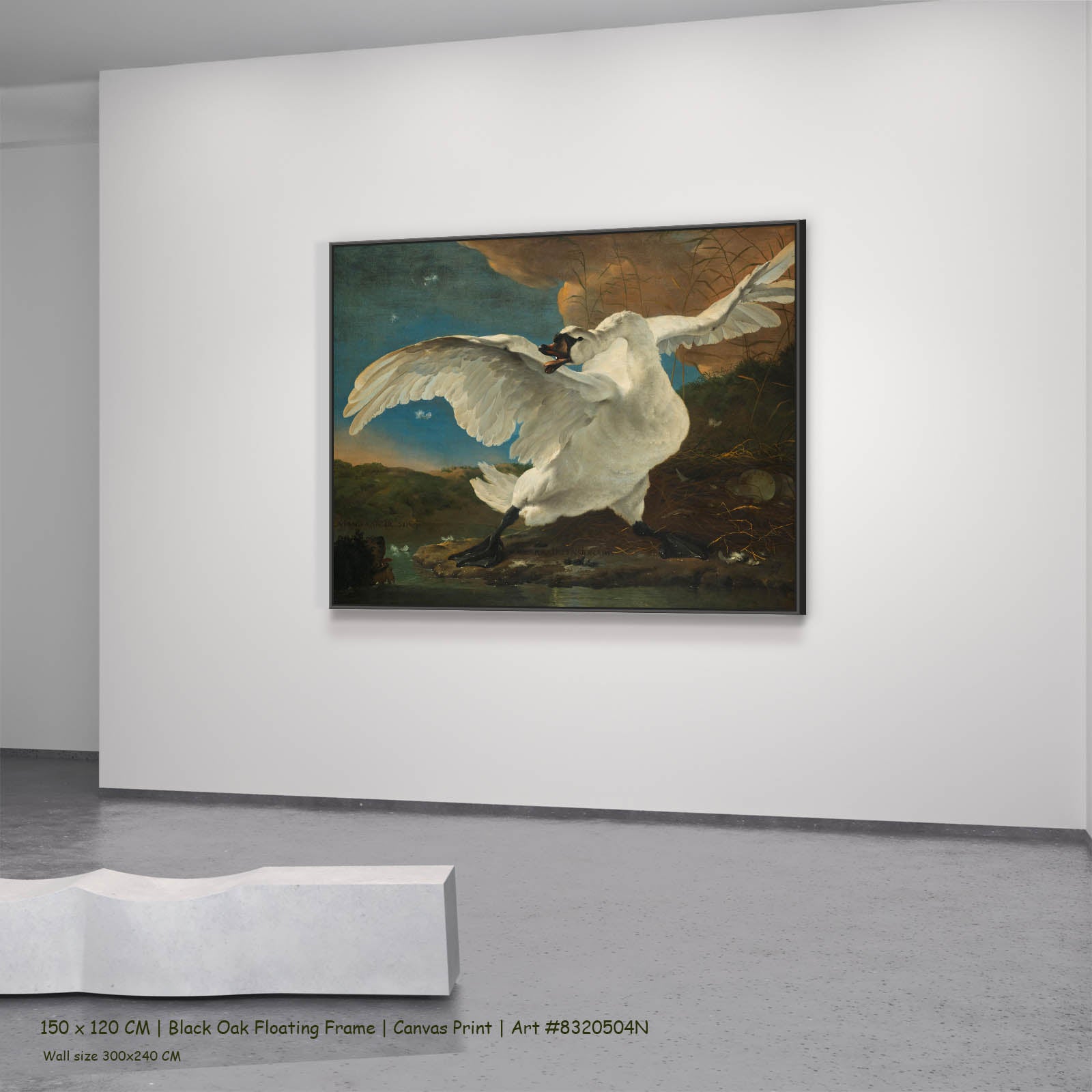 The Threatened Swan Wildlife canvas wall art in a black oak floating frame, 150 × 120 cm