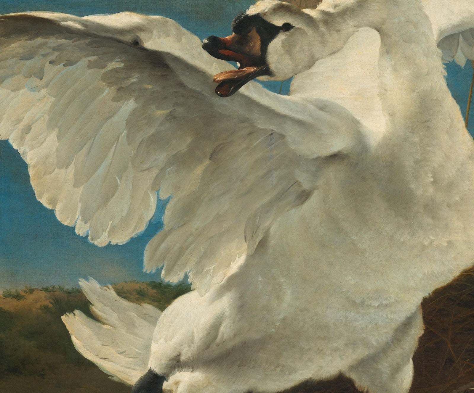 The Threatened Swan canvas — close-up detail of the framed canvas print