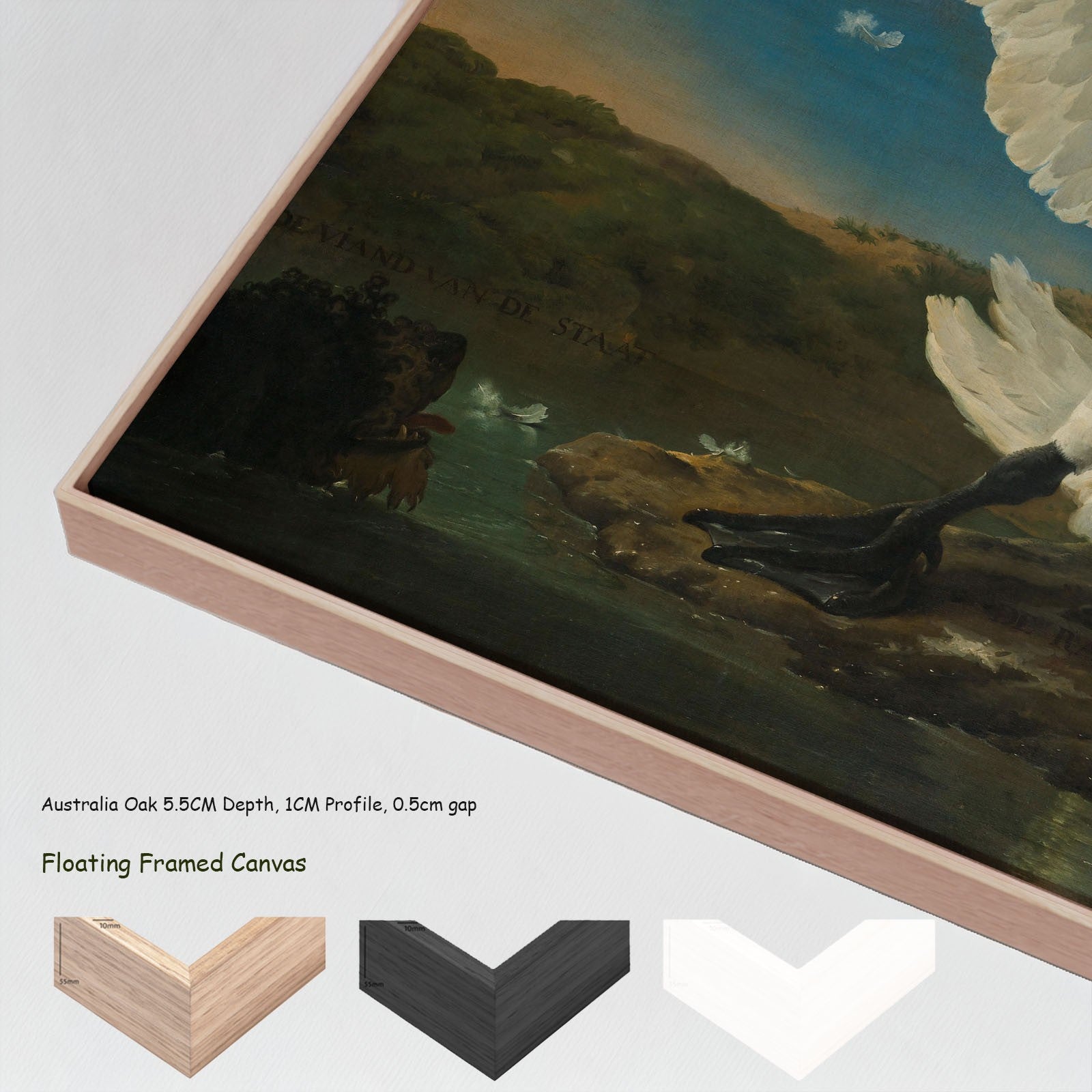 The Threatened Swan canvas wall art with floating frame options
