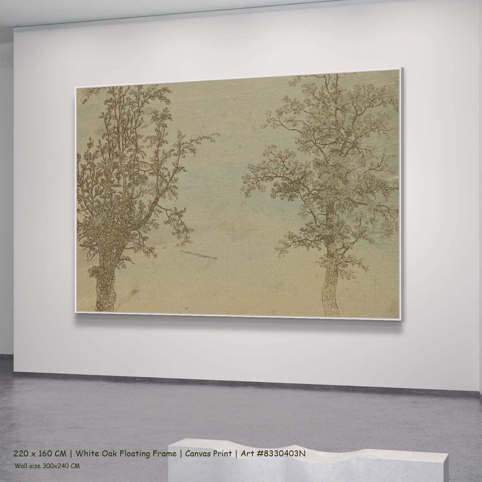 Two Trees: An Alder and an Ash Line-Art canvas wall art in a white oak floating frame, 220 × 160 cm