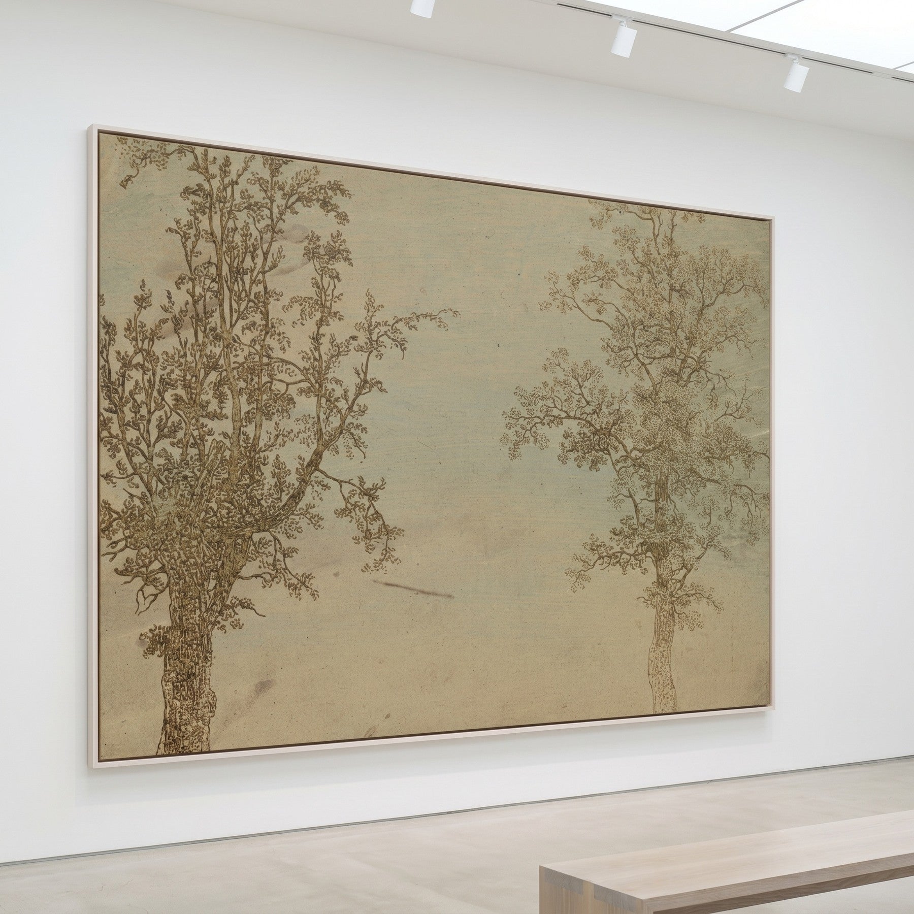 Two Trees: An Alder and an Ash Large Botanical Line-Art canvas wall art framed and hung on a wall by Hercules Segers