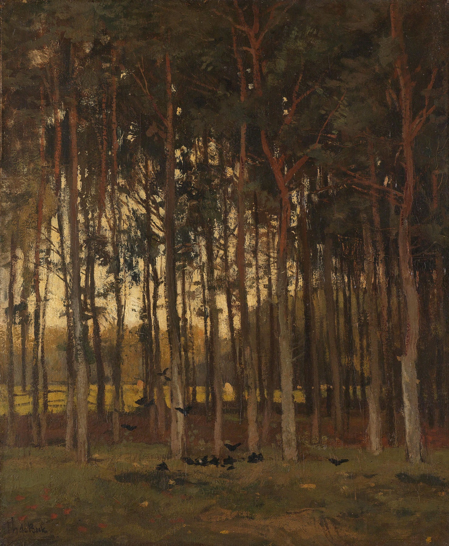View in the Woods — Tall Forest Landscape canvas wall art by Theophile de Bock