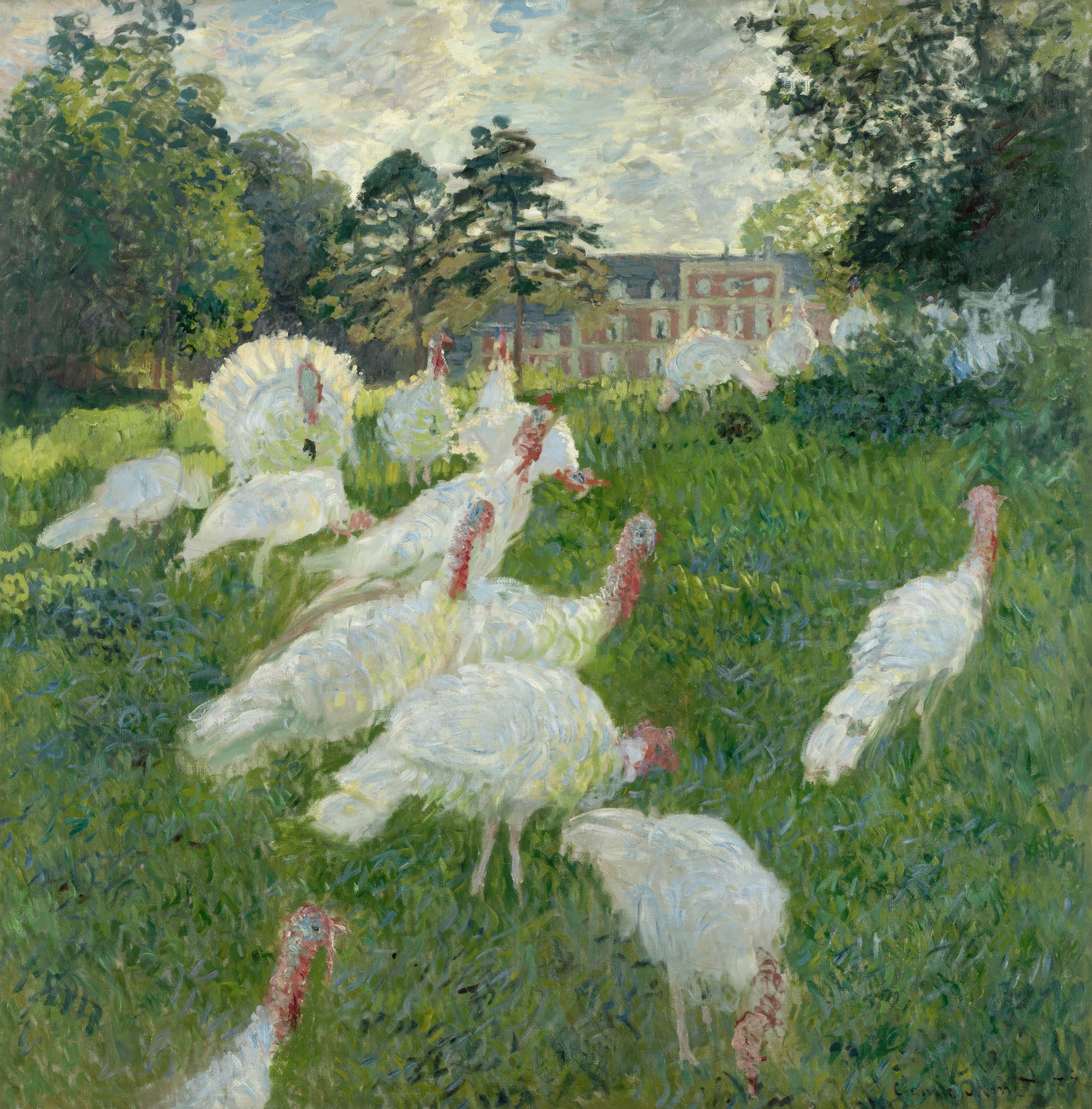 The Turkeys — Square Landscape canvas wall art by Claude Monet