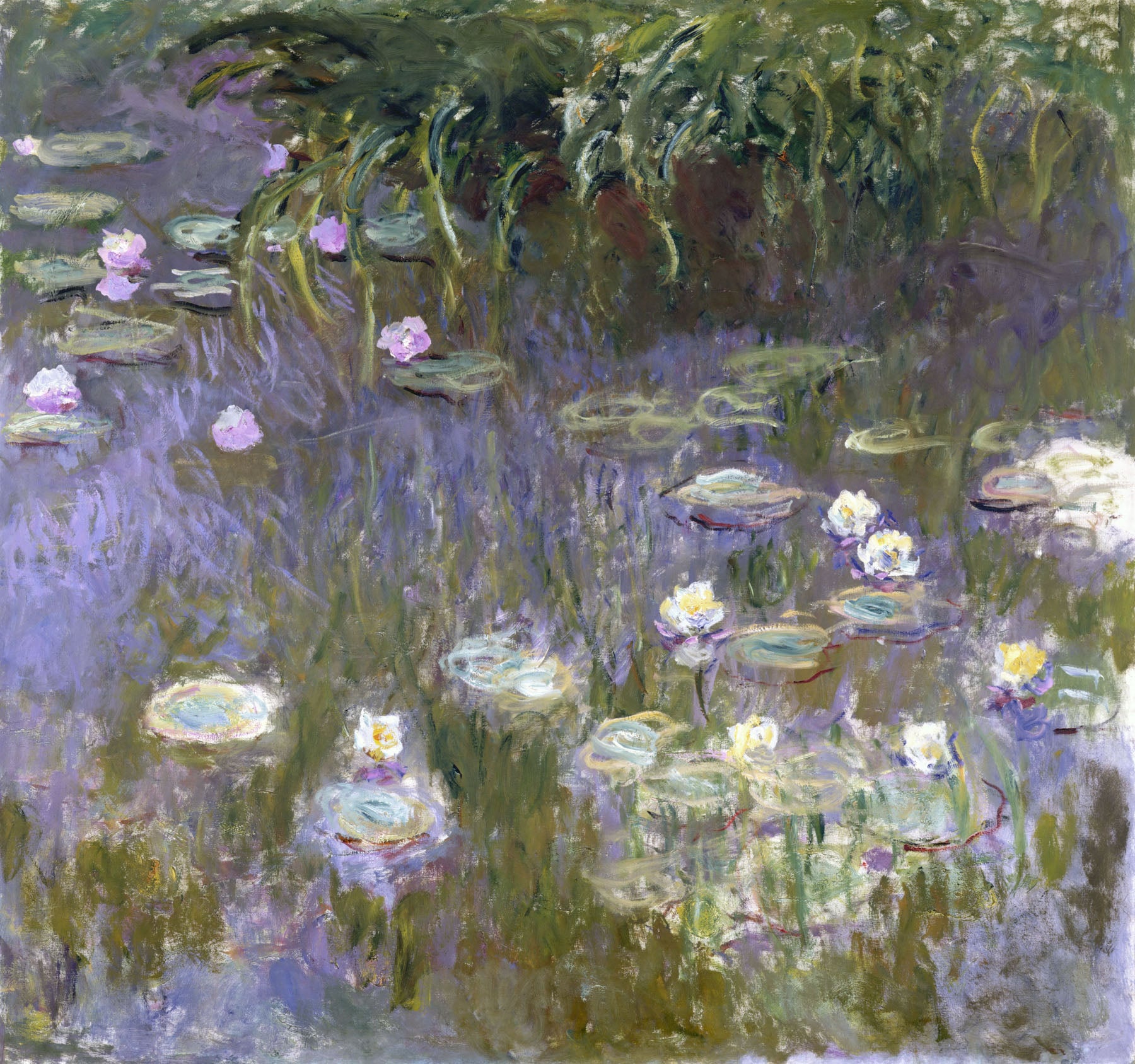 Water Lilies (Square Composition) — Square Floral canvas wall art by Claude Monet
