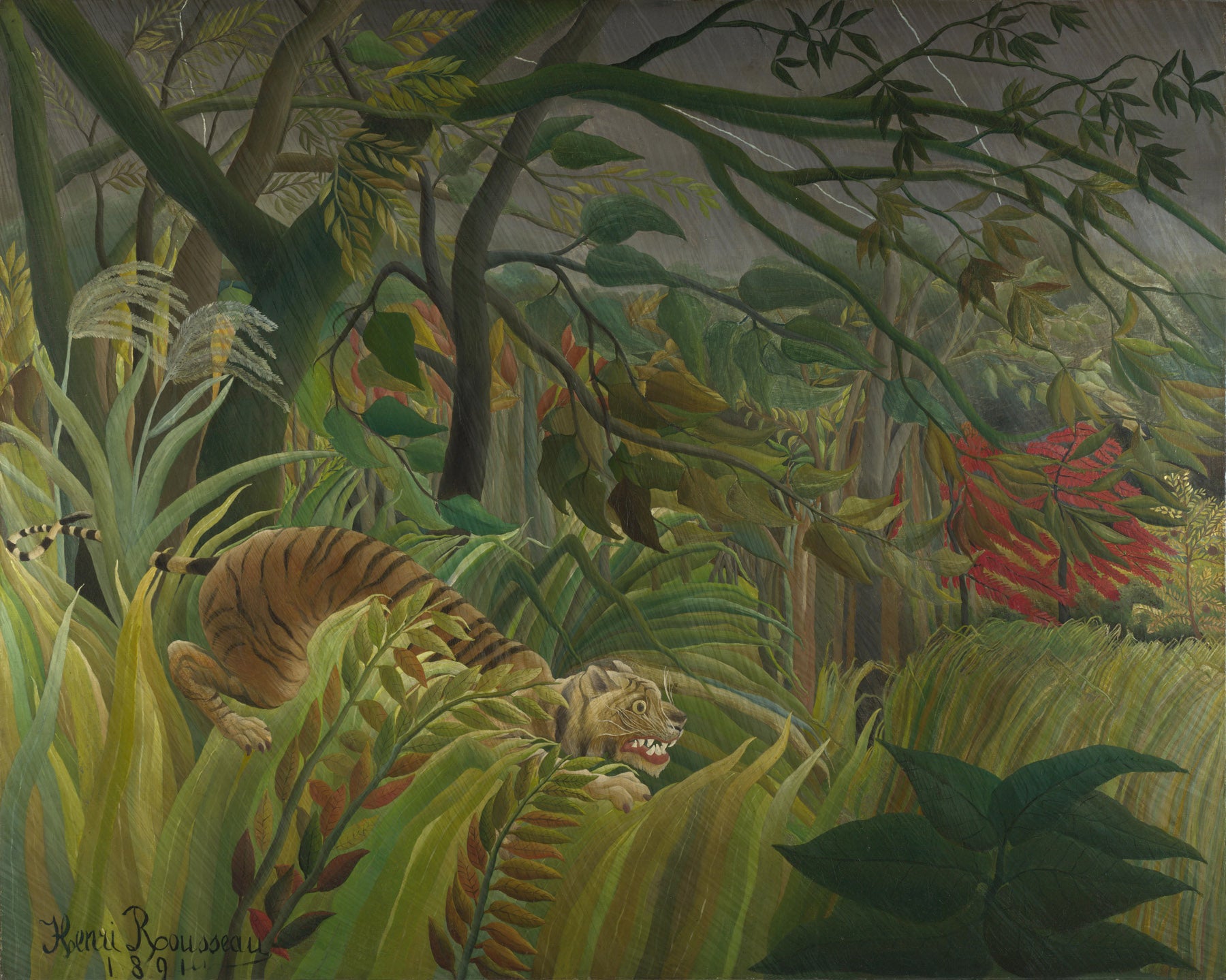 Large green and olive Jungle canvas print of Tiger in a Tropical Storm by Henri Rousseau