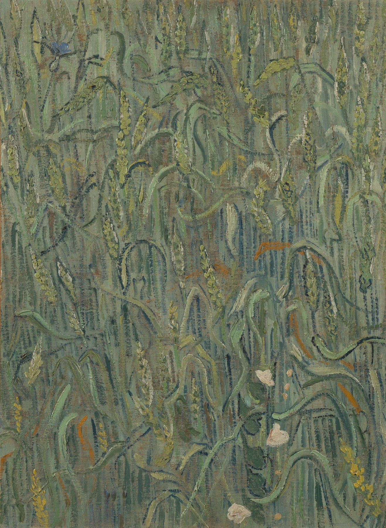 Large green Impressionist canvas print of Ears of Wheat by Vincent van Gogh