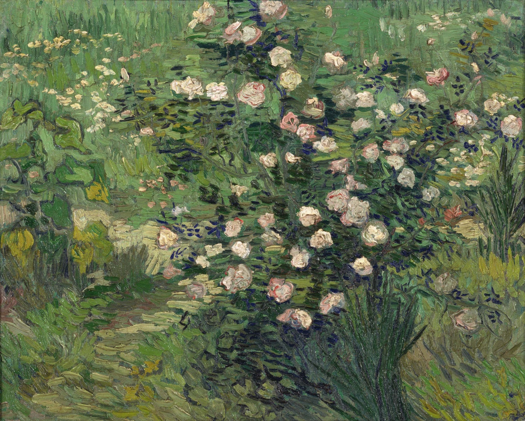 Large green and pink Impressionist canvas print of Roses by Vincent van Gogh
