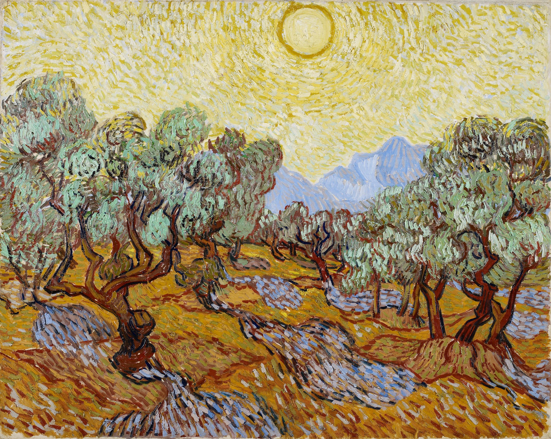 Large yellow and orange Impressionist canvas print of Olive Trees with Yellow Sky and by Vincent van Gogh