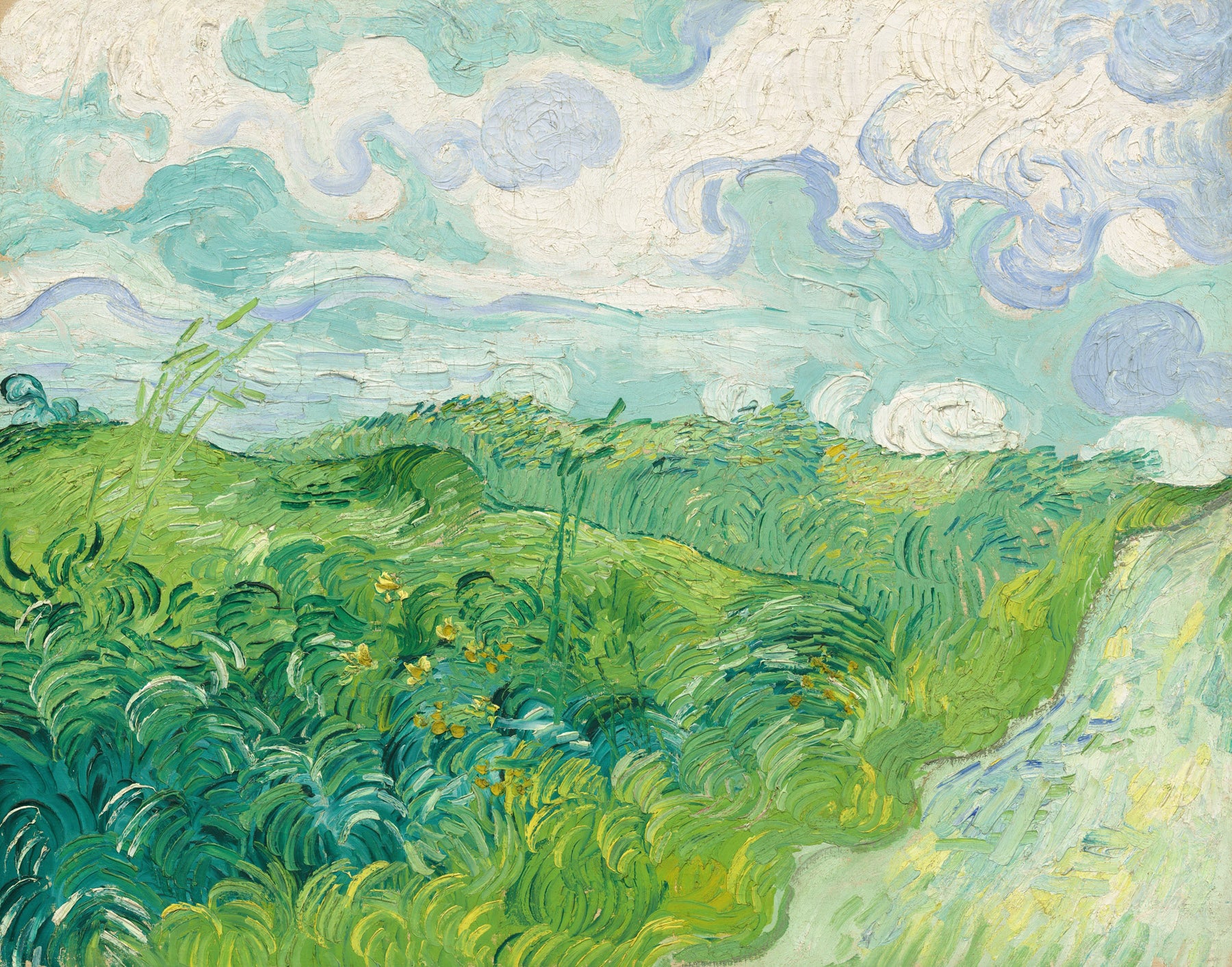 Large green and white Impressionist canvas print of Green Wheat Fields, Auvers by Vincent van Gogh