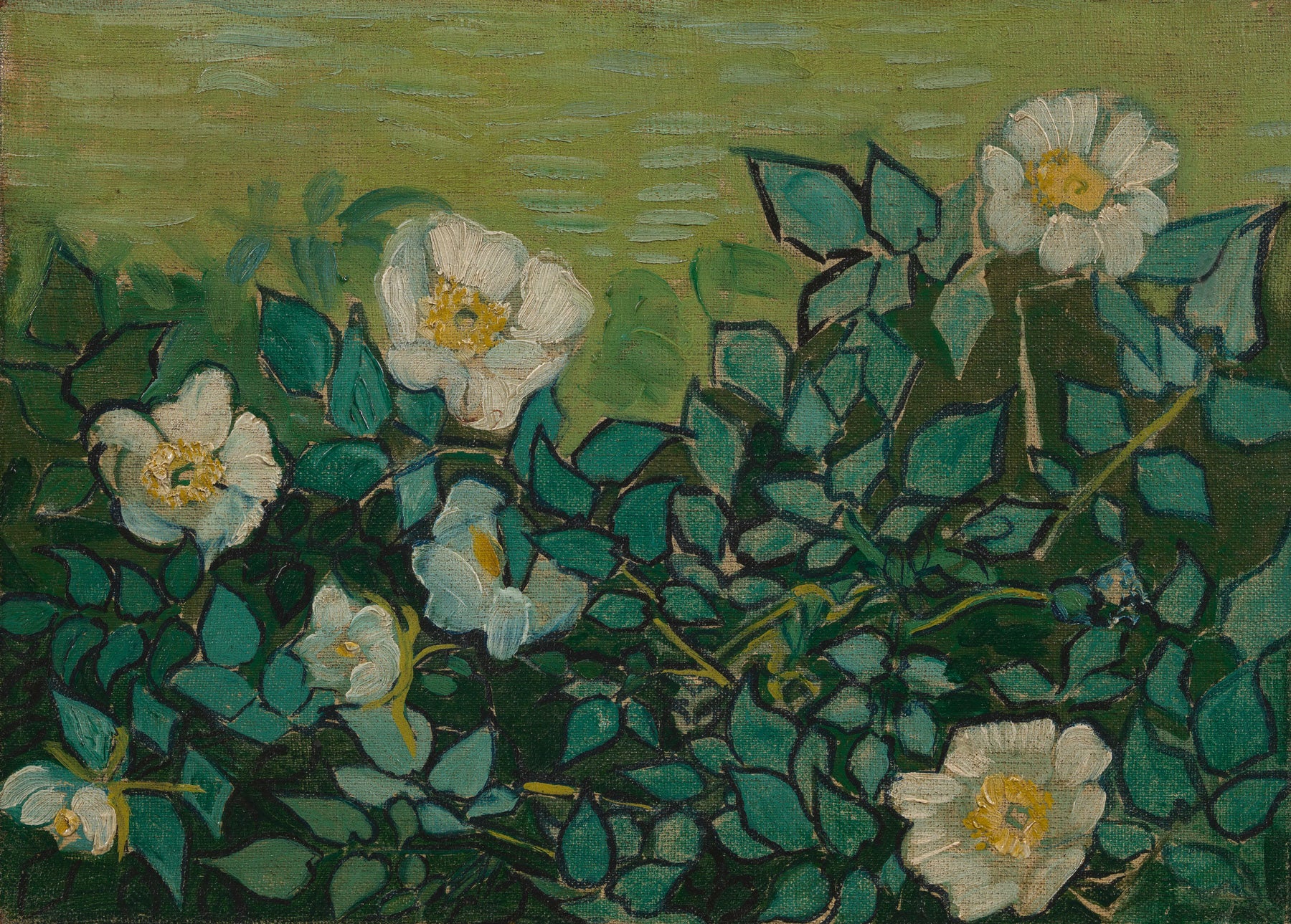 Large green and olive Impressionist canvas print of Wild Roses by Vincent van Gogh