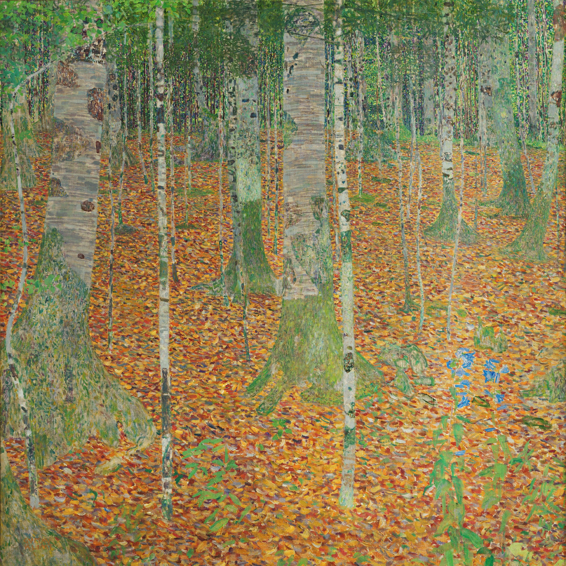 Large orange and green Impressionist canvas print of Birch Forest by Gustav Klimt