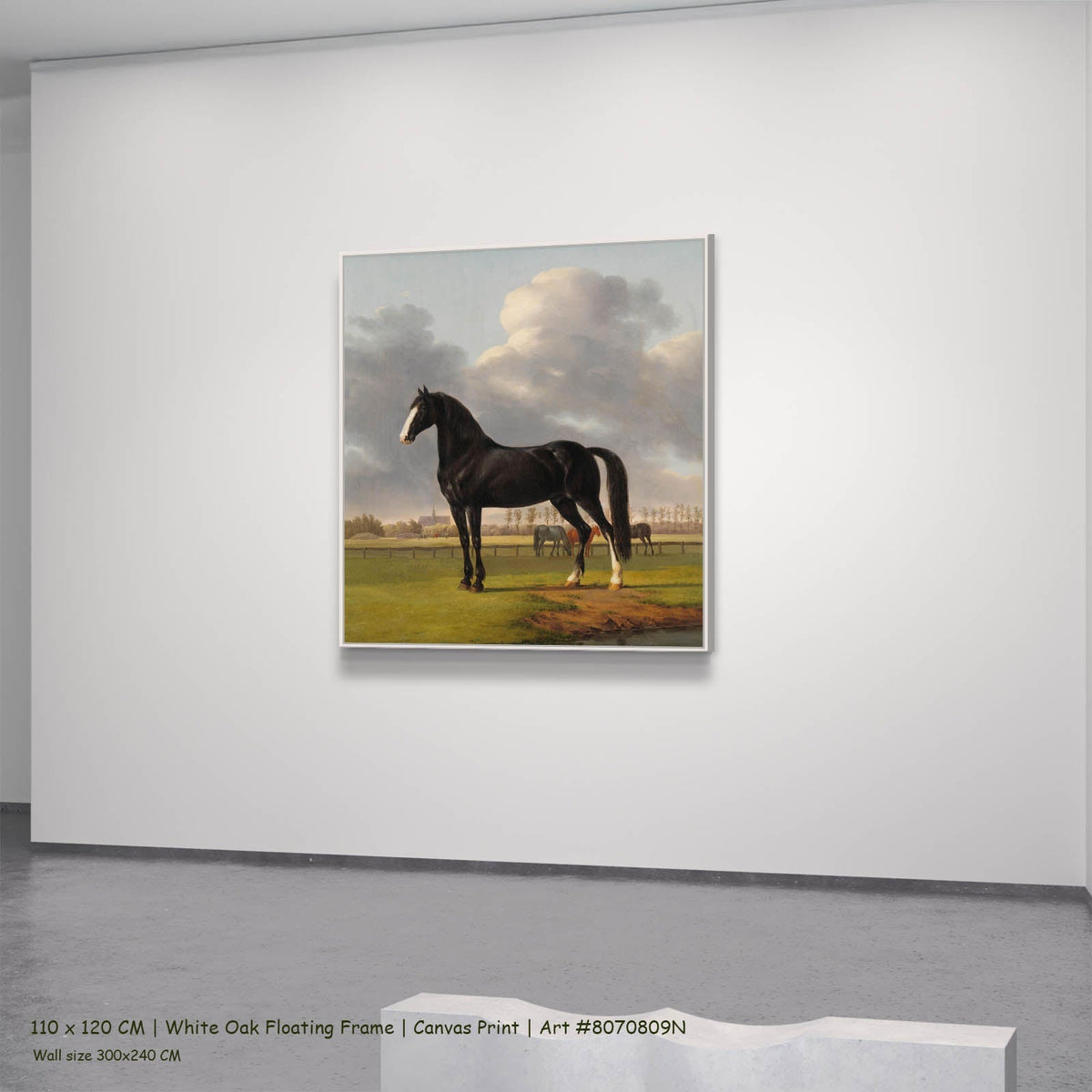 Anthony Oberman — Adriaan van der Hoop's Trotter "De Vlugge" Equestrian canvas wall art in a white oak floating frame,…