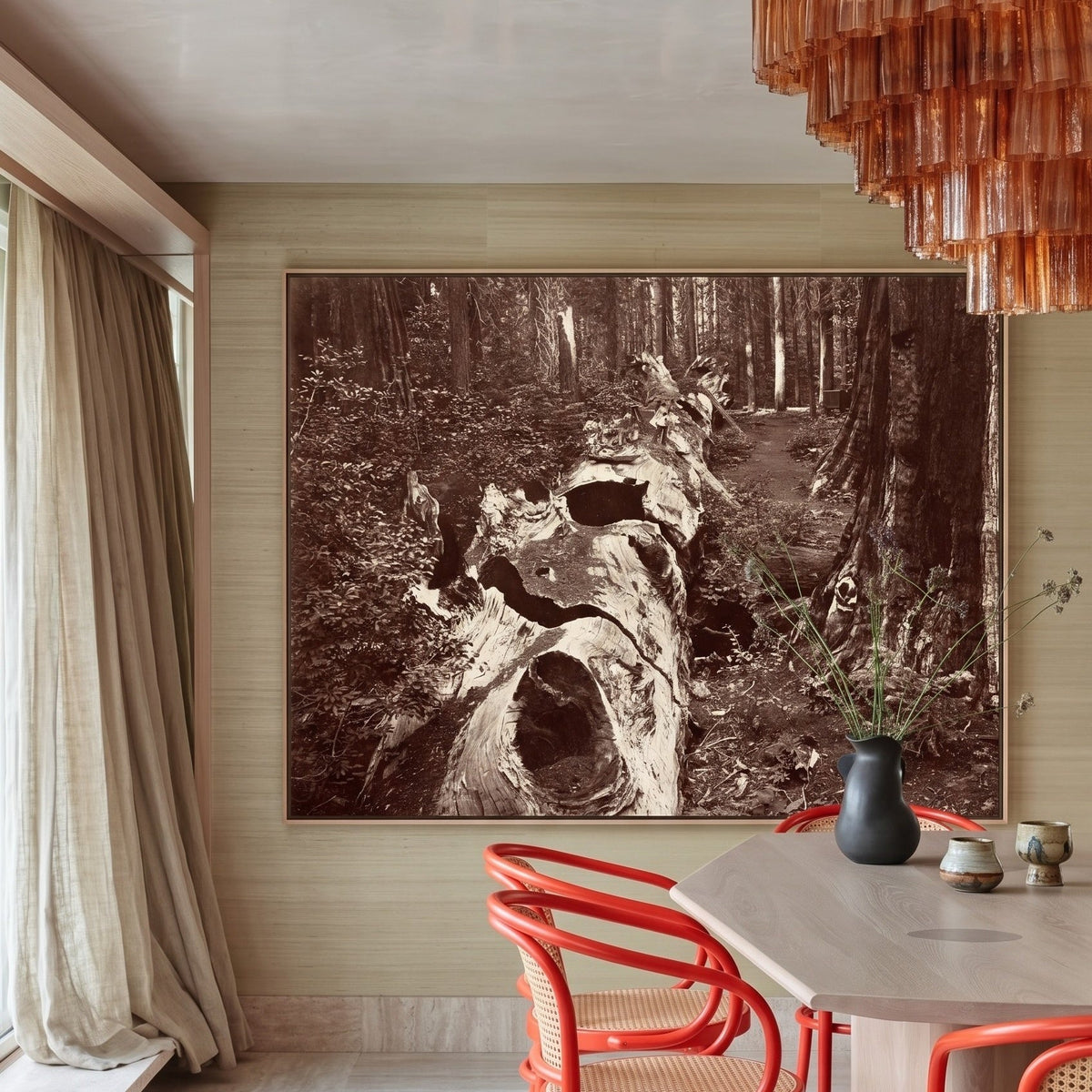 Carleton E. Watkins | Large Black Photography Canvas Wall Art | The Father of the Forest — room photo 2