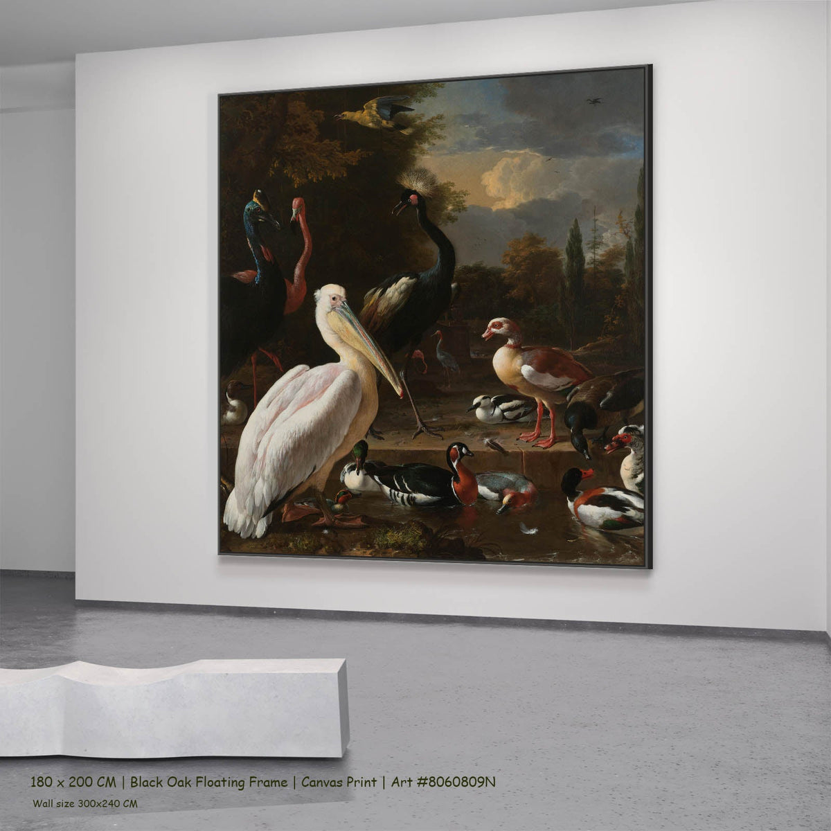 Melchior d'Hondecoeter — A Pelican & Other Birds (The Floating Feather) Wildlife canvas wall art in a black oak floating…