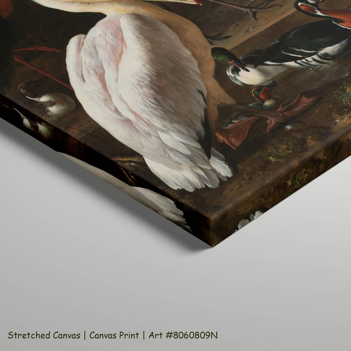 Melchior d'Hondecoeter — A Pelican & Other Birds (The Floating Feather) Wildlife art on stretched canvas