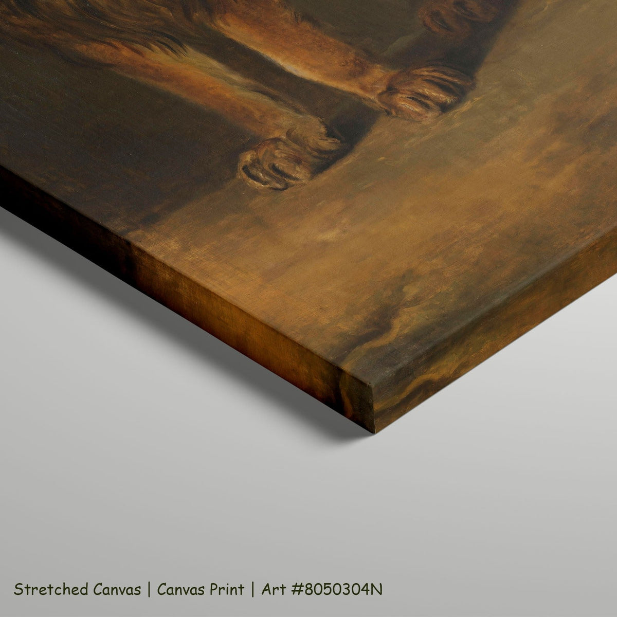 Pieter Gerardus van Os — A Lion from the Menagerie of King Louis Napoleon Wildlife art on stretched canvas