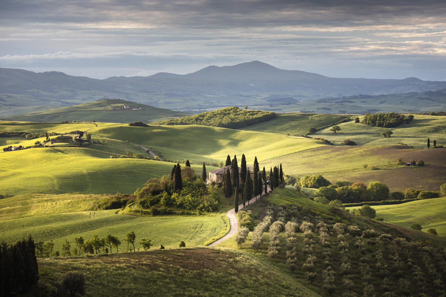 Mountain Vista — Oversized Landscape Photography canvas wall art