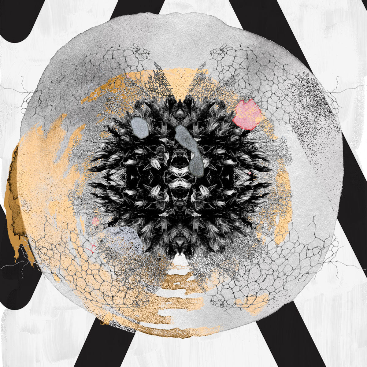 New Earth — Black & White Abstract canvas wall art