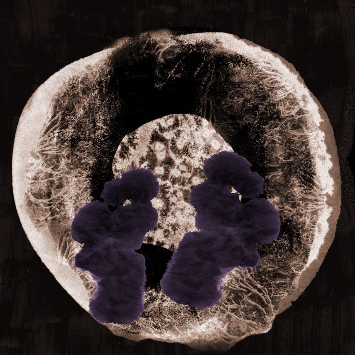 New Earth Black & White Abstract canvas wall art (view 3)