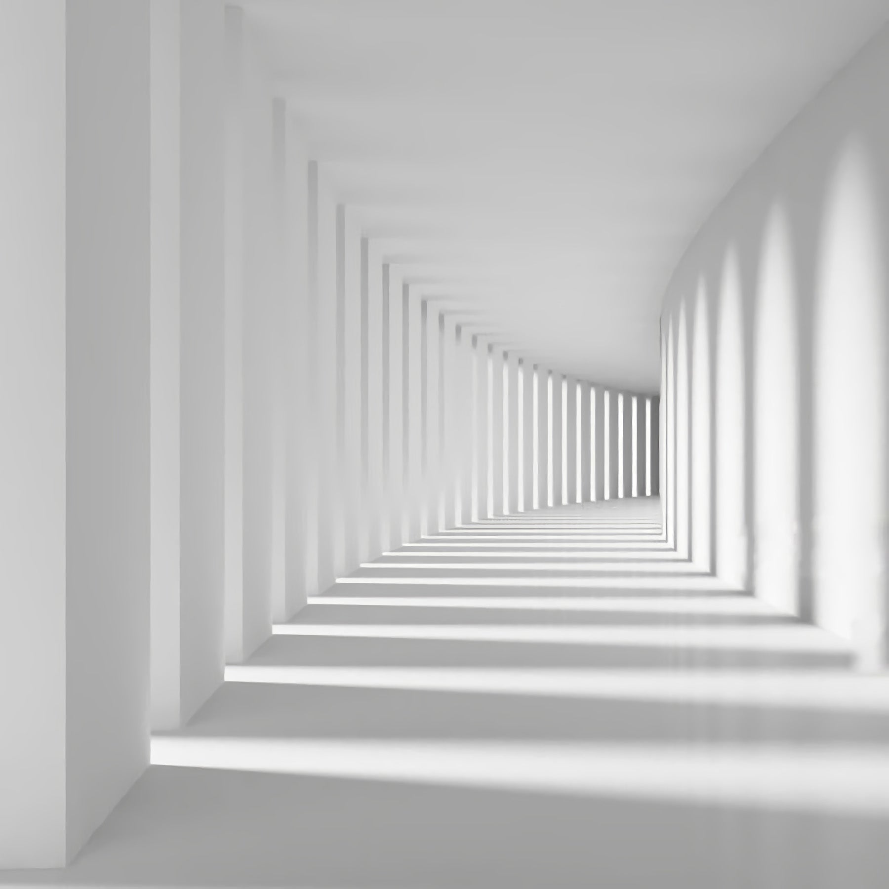 Column Hall — Black & White Architecture Photography canvas wall art